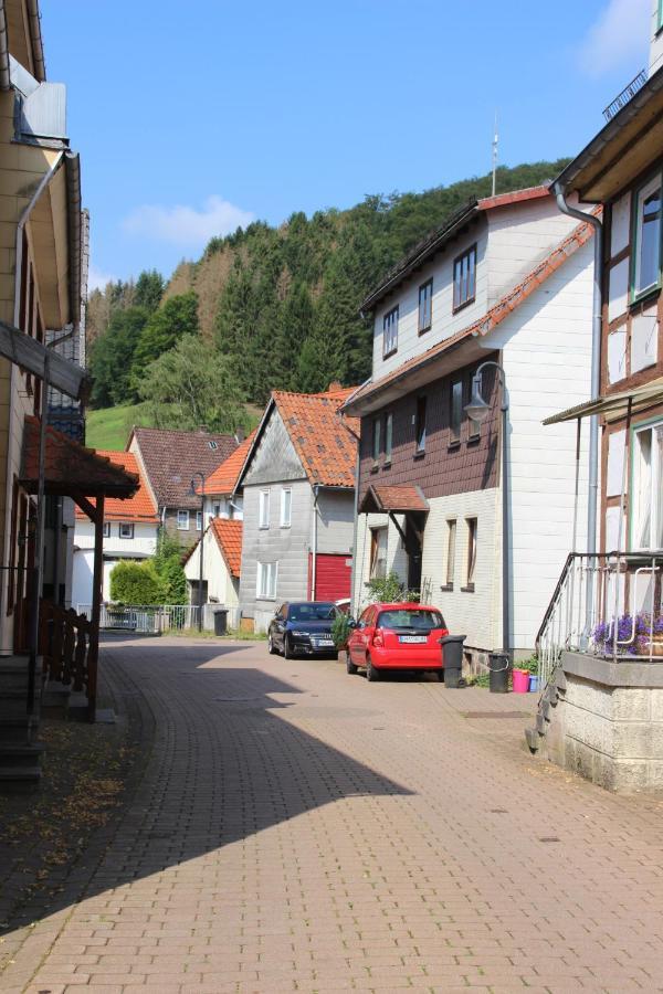 Haus Hirtenbergblick Lonau Exterior foto