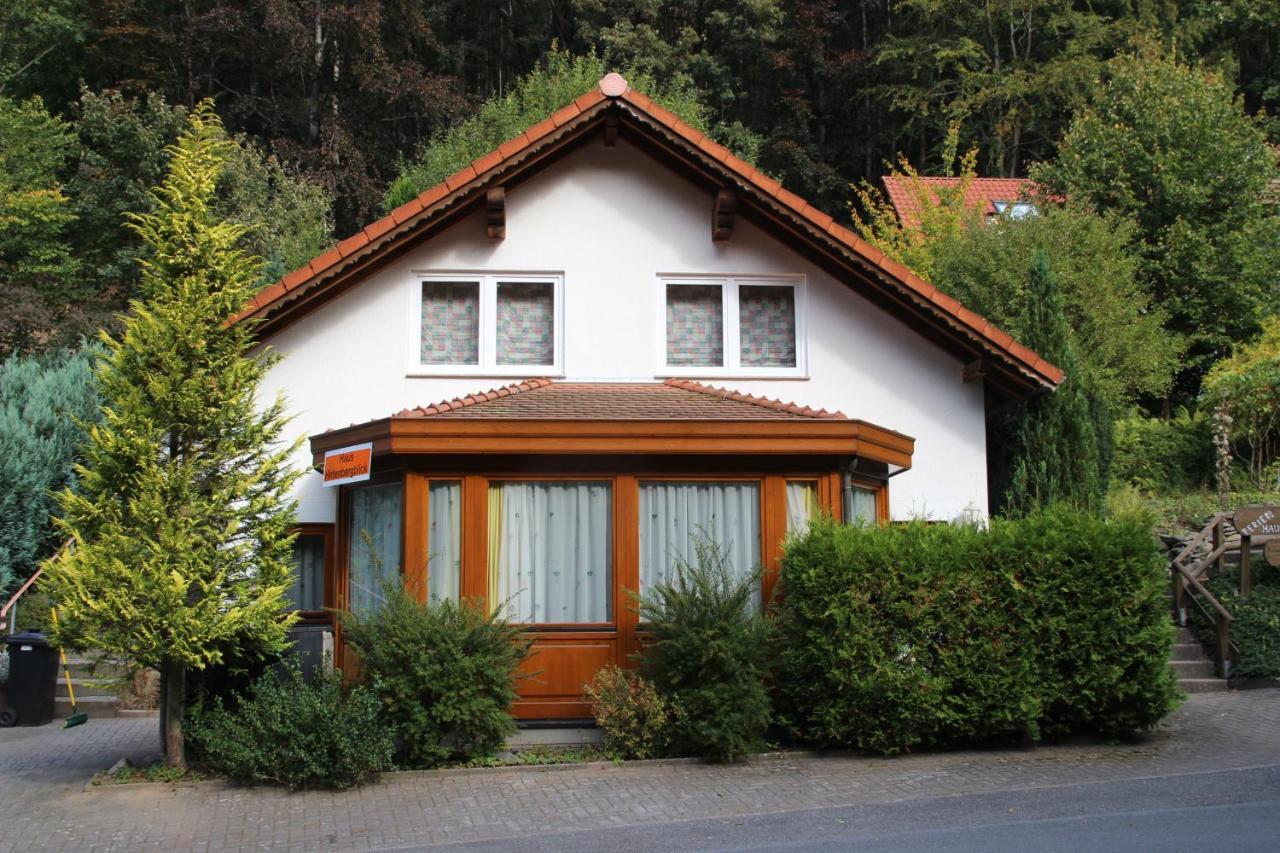 Haus Hirtenbergblick Lonau Exterior foto