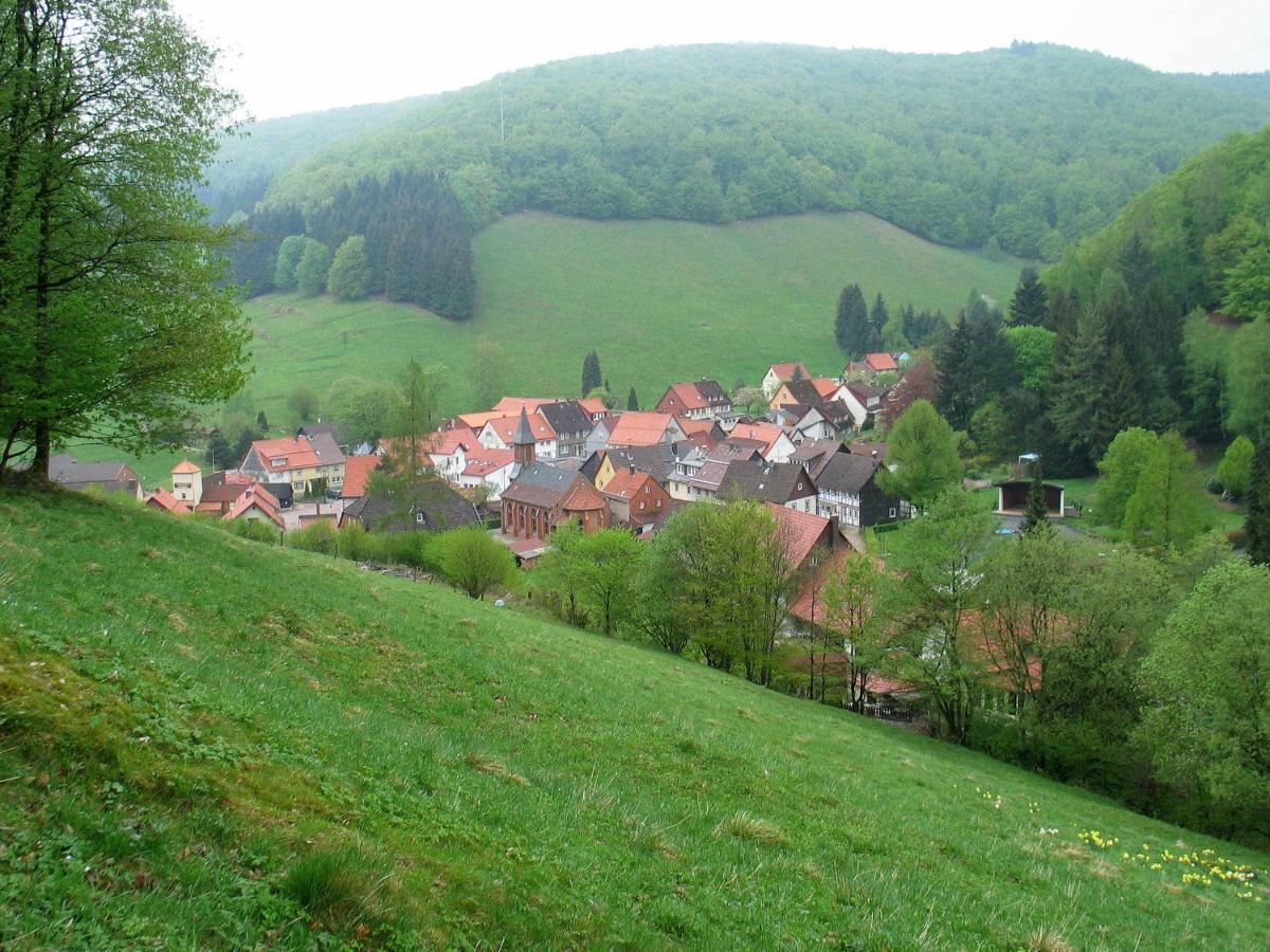 Haus Hirtenbergblick Lonau Exterior foto